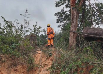 Homem morre atingido por árvore ao fazer corte da planta em loteamento na Grande BH